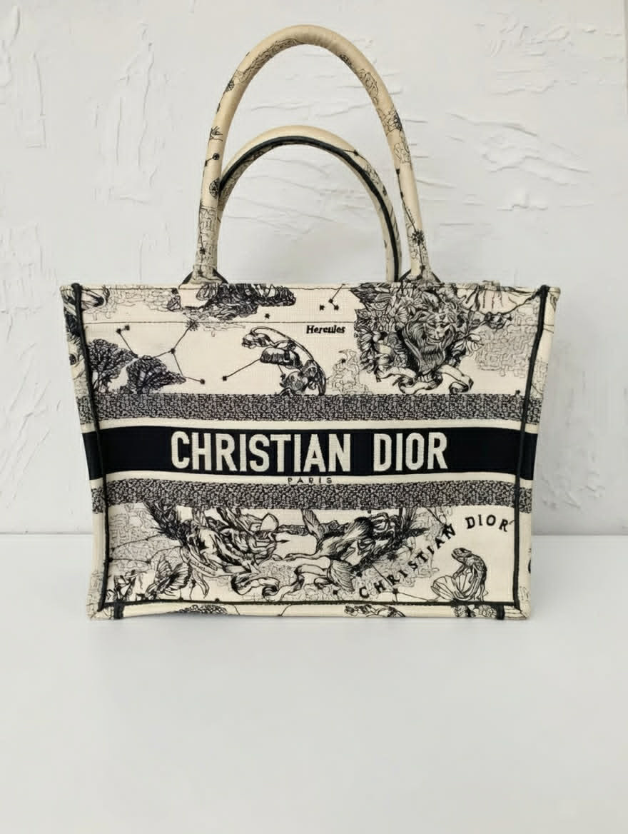 Christian Dior Book Tote