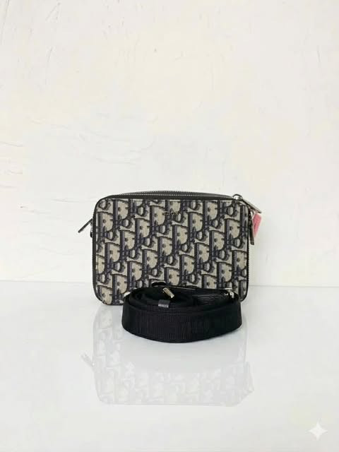 Dior Camera Bag (Oblique Canvas)
