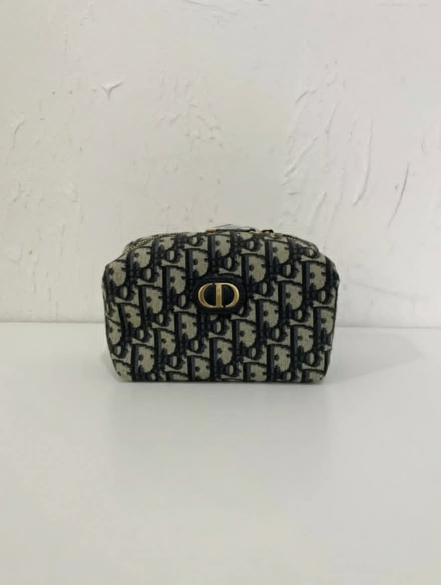 Dior Mini Pouch Bag